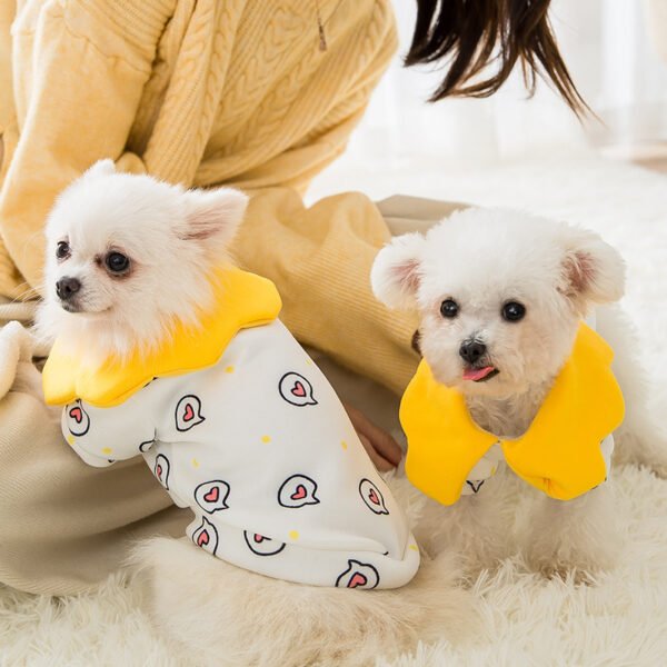 Dog Princess Cat Clothes Teddy Pet