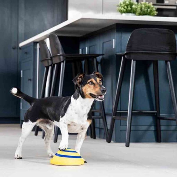 Sounding Disc Woof Glider Soft & Safe Indoor Pet Dogs Play Toy Pets Unique Interacts Entertainment Toys - Image 3