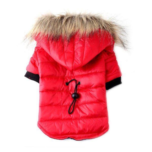 Pet Clothing Autumn And Winter Pet Sweater Teddy - Image 5
