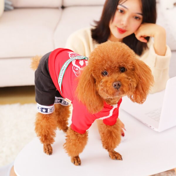 Small Dog Bichon Winter Pet Winter Clothes Four-Legged Warm - Image 2