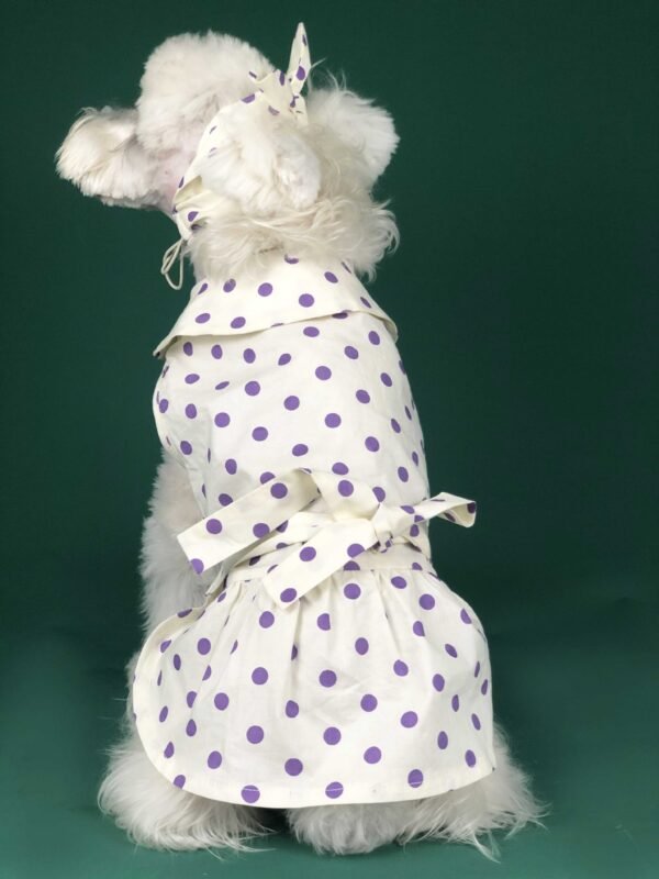 Dog Clothes Summer Thin Small Dog Cute Princess Dress Teddy Schnauzer Corgi Cat Pet Outfit - Image 3