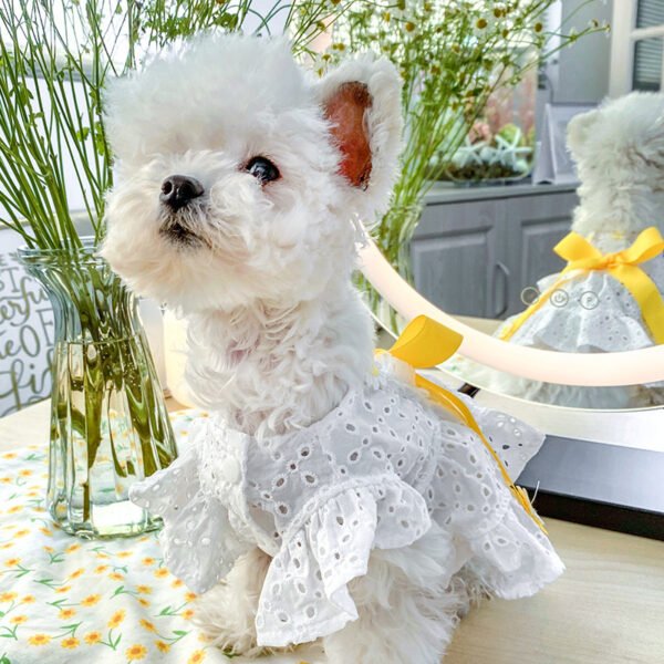 New Pet Dog Clothes Daisy Flower Skirt Hollow Bow Princess Dog Skirt - Image 4