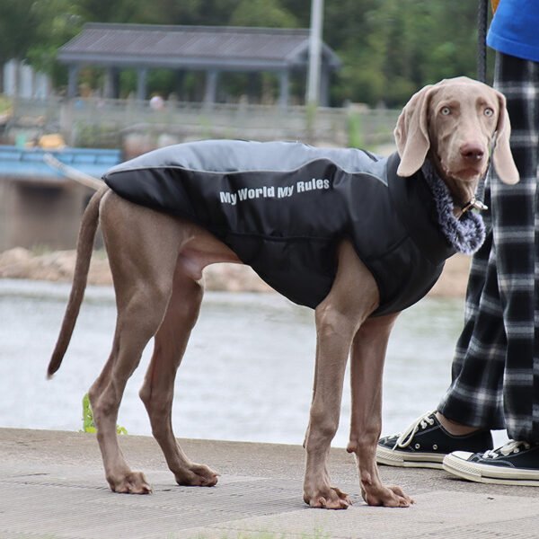 Winter warm pet jacket - Image 2