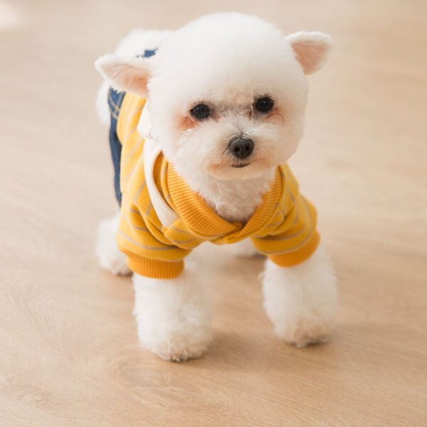 Pet dog clothes autumn and winter - Image 3