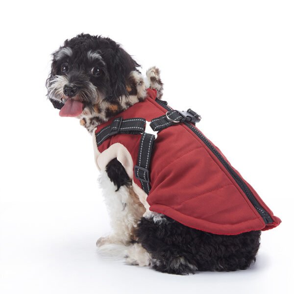 Winter Cashmere Pet Jacket - Image 3