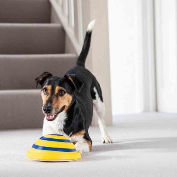 Sounding Disc Woof Glider Soft & Safe Indoor Pet Dogs Play Toy Pets Unique Interacts Entertainment Toys - Image 6