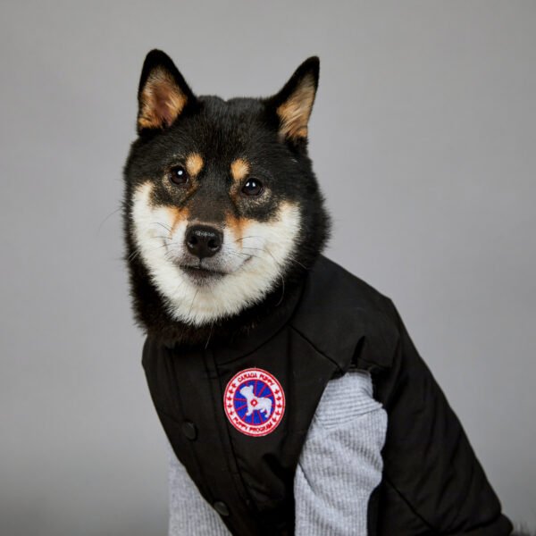 Large Dog Winter Warm Pet Vest - Image 4