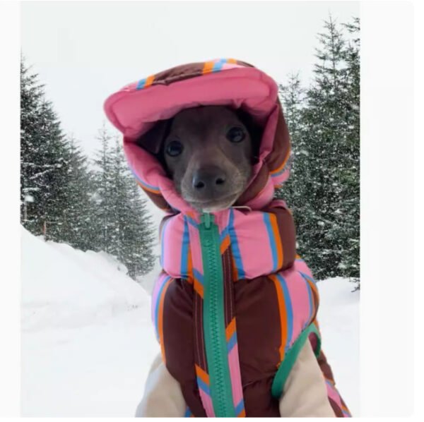 Autumn And Winter Pet Striped Vest - Image 6