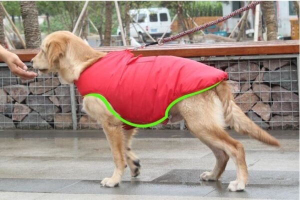 Winter Cotton Coat Pet Dog Clothes - Image 9