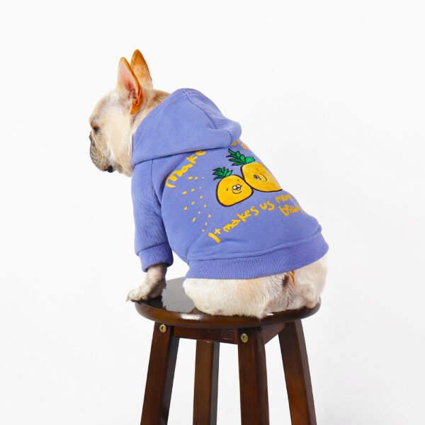 Winter Cartoon Printed Plush Pet Hoodie - Image 3