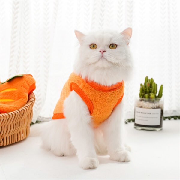 Pet Dog Winter Warm Carrot Clothes - Image 7