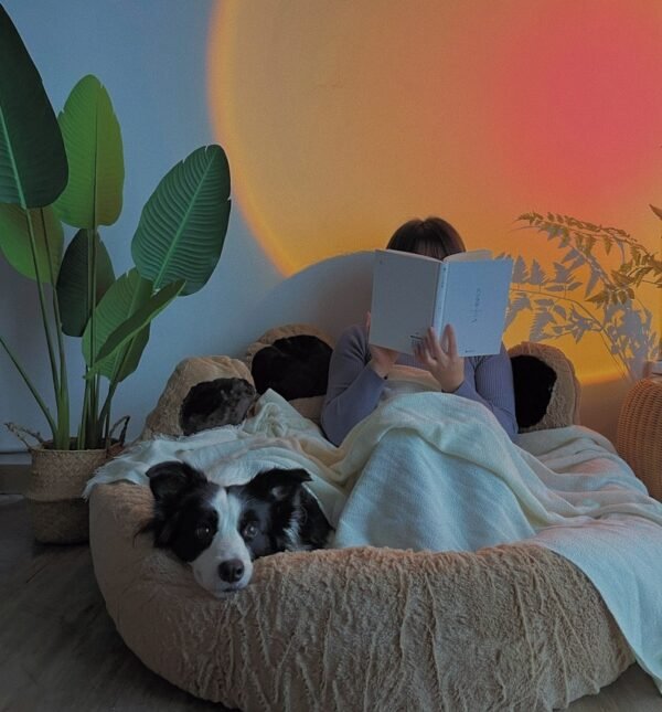 Winter Warm Pet Supplies Four Seasons Universal Pet Mat - Image 2