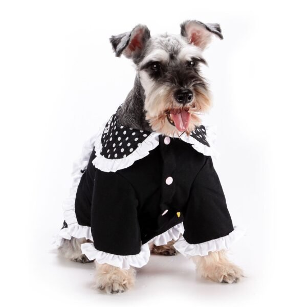 Fashion Casual Lolita Princess Dress Pet - Image 4
