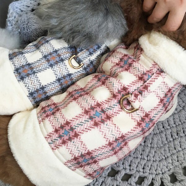 Winter pet cute cotton coat - Image 4