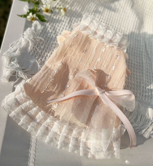 Chiffon Lace Bow Princess Dress Pet - Image 4