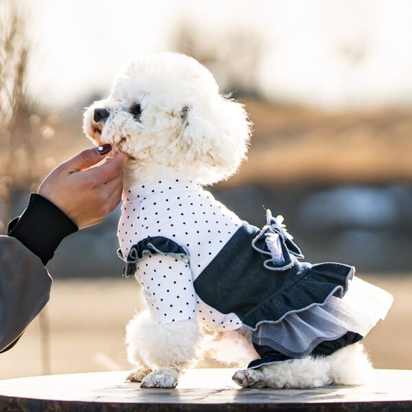 Pet Spring And Summer Thin New Denim Bow Princess Mesh Pettiskirt - Image 2