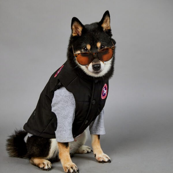 Large Dog Winter Warm Pet Vest - Image 6