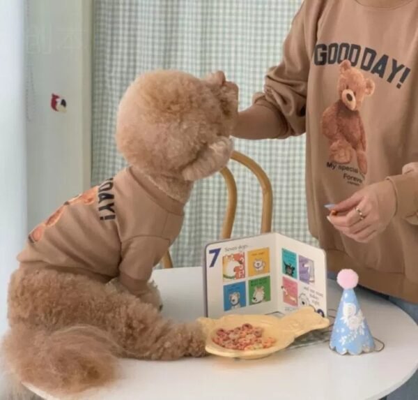 Winter Teddy Bear Cat Dog Pet Clothing - Image 5