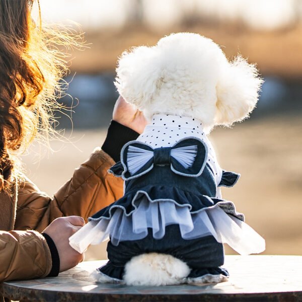 Pet Spring And Summer Thin New Denim Bow Princess Mesh Pettiskirt - Image 6