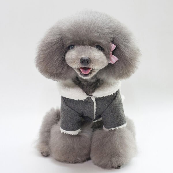 Winter Fashion Personalized Pet Clothing - Image 5