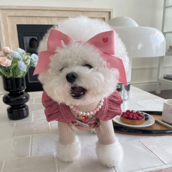 Princess Style Bow Tension Adjustment Headdress Pet Accessories Hair Band - Image 7