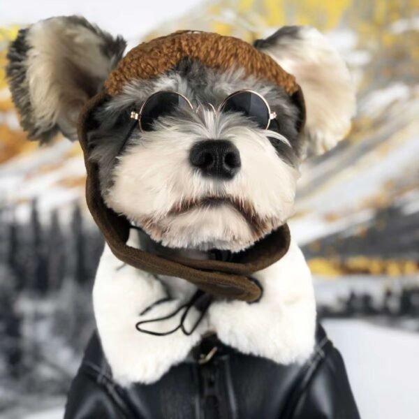 Autumn And Winter Pet Clothes Jacket - Image 4