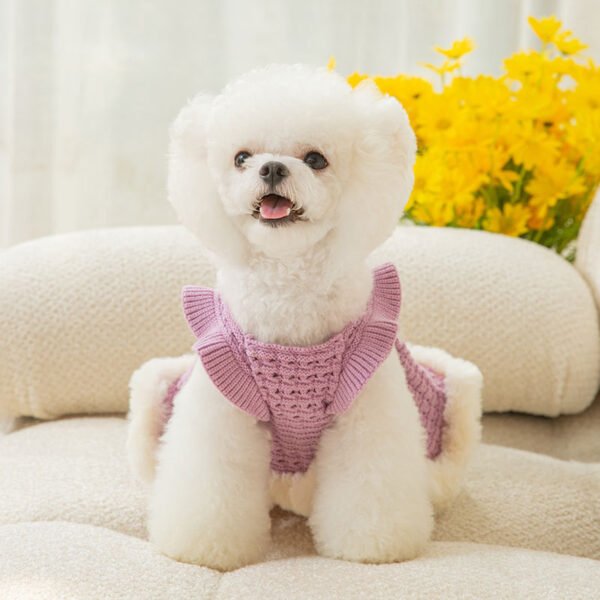 Bow Sweater Skirt Princess Wind Pet Two-legged Clothes - Image 3