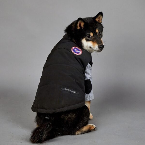 Large Dog Winter Warm Pet Vest - Image 5