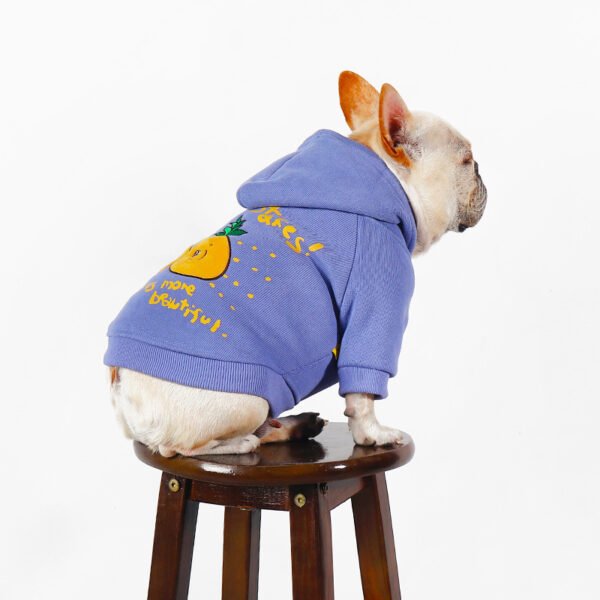 Winter Cartoon Printed Plush Pet Hoodie - Image 2