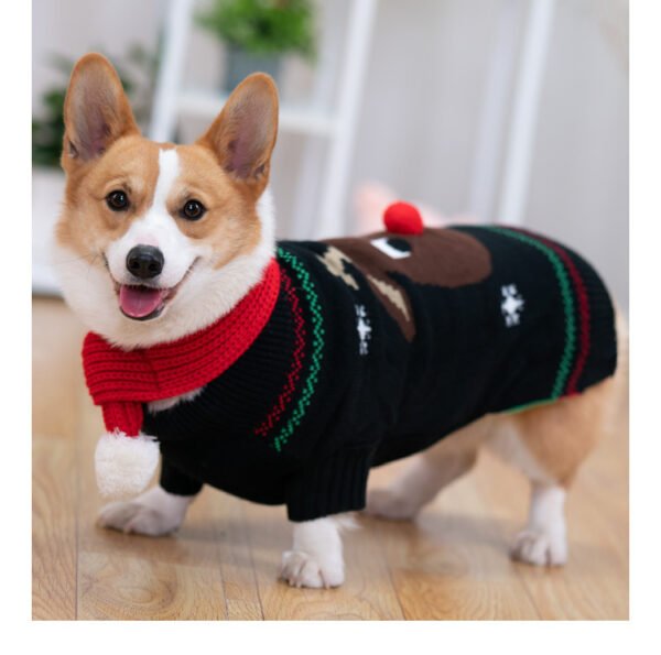Padded Coat Pet Padded Winter Shiba - Image 7