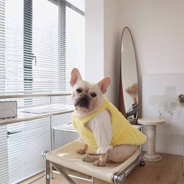 Dog Clothes Pet Autumn And Winter Warm Rabbit Fur Princess Skirt - Image 7
