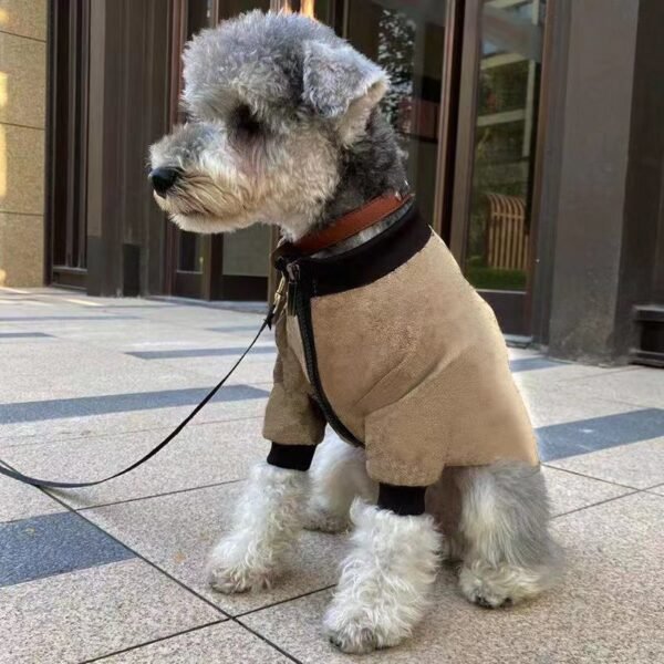 Pet Winter Jacket Hoodie Coat - Image 3
