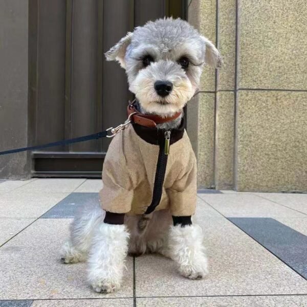Pet Winter Jacket Hoodie Coat - Image 4