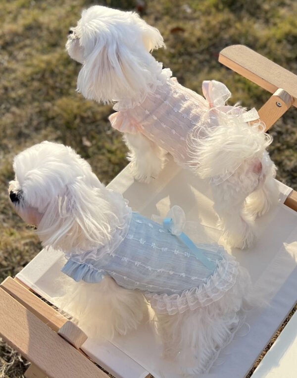 Chiffon Lace Bow Princess Dress Pet - Image 2
