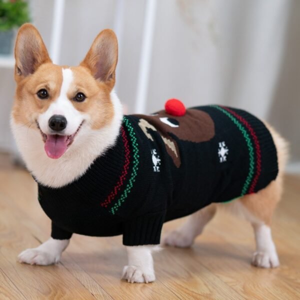 Padded Coat Pet Padded Winter Shiba - Image 2