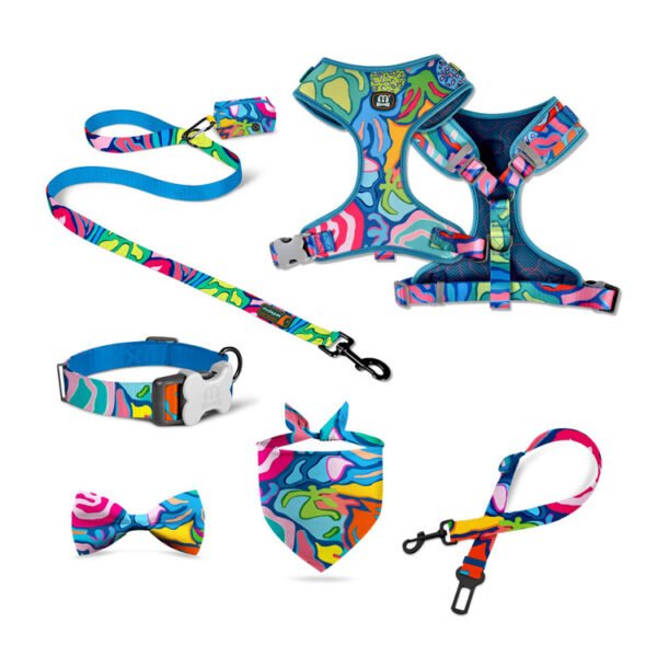 Pet Supplies Hand Holding Rope - Image 5