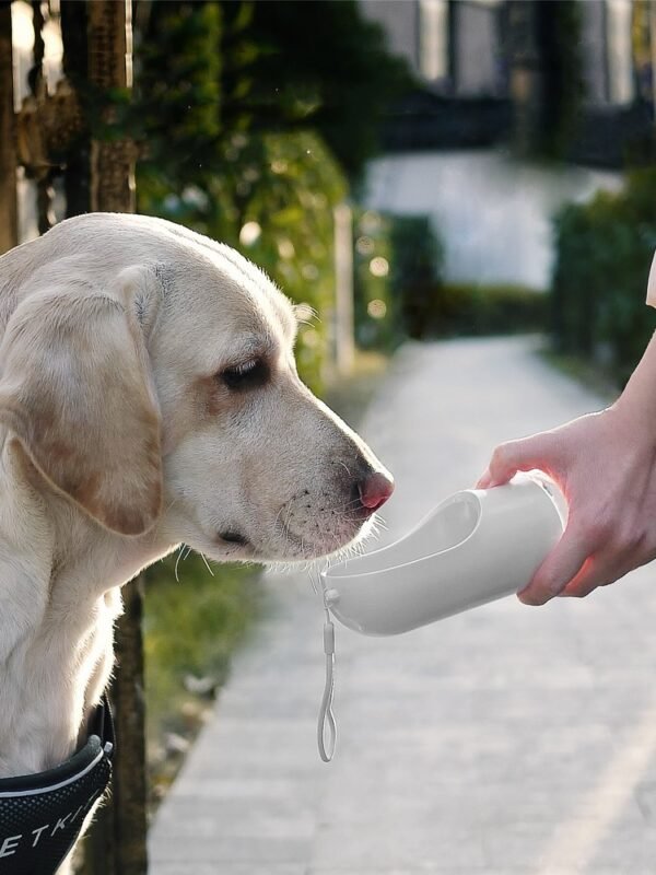 Outdoor Drinking And Feeding Cattle Dog Fountain Supplies - Image 2