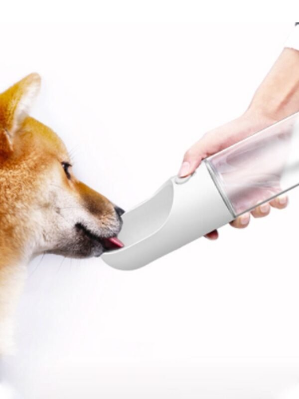 Outdoor Drinking And Feeding Cattle Dog Fountain Supplies - Image 5