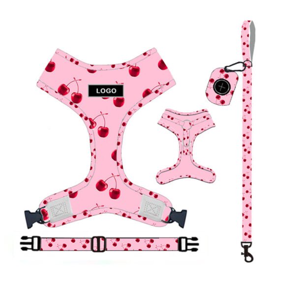 Pet Supplies Dog Leash Set Pet Leash - Image 3