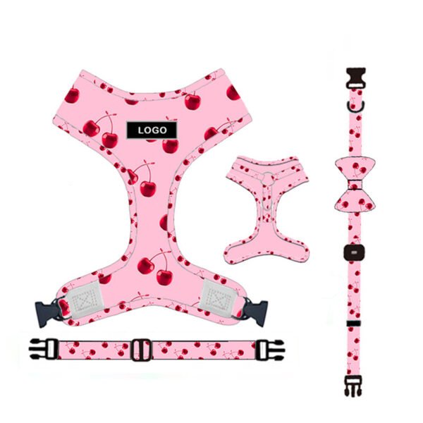 Pet Supplies Dog Leash Set Pet Leash - Image 6