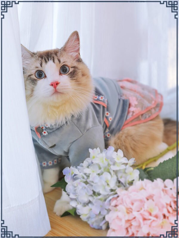 Pet cat clothes - Image 2