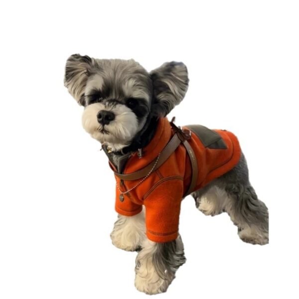 Pet Small Dog Autumn Clothing Two Feet Apparel Hooded Sweater - Image 4