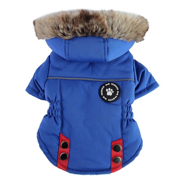 Pet Supplies Chest Back Zipper - Image 7