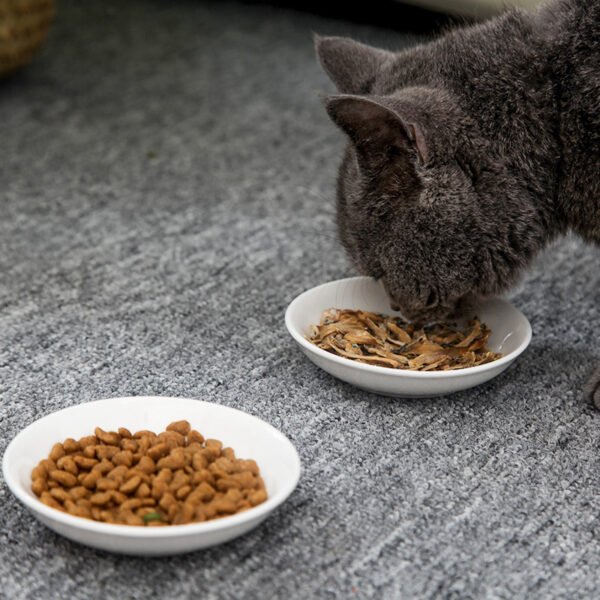 Tableware Cat Dish Cat Supplies - Image 10