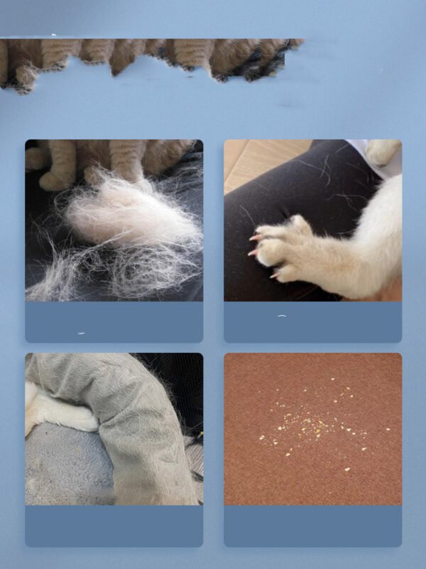 Bed Cat Hair Cleaner Pet Supplies - Image 4