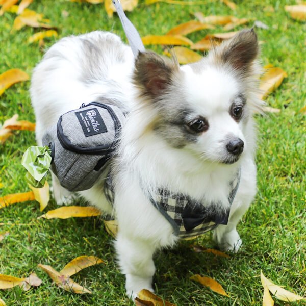 Fashion Personality Pet Supplies Dog Bag - Image 9