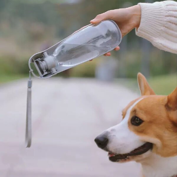 Portable Dog Water Bottle For Small Large Dogs Foldable Lightweight Drinking Bowl Outdoor Travel Walking Running Puppy Supplies - Image 5