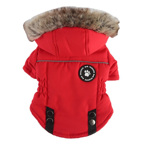 Pet Supplies Chest Back Zipper - Image 5